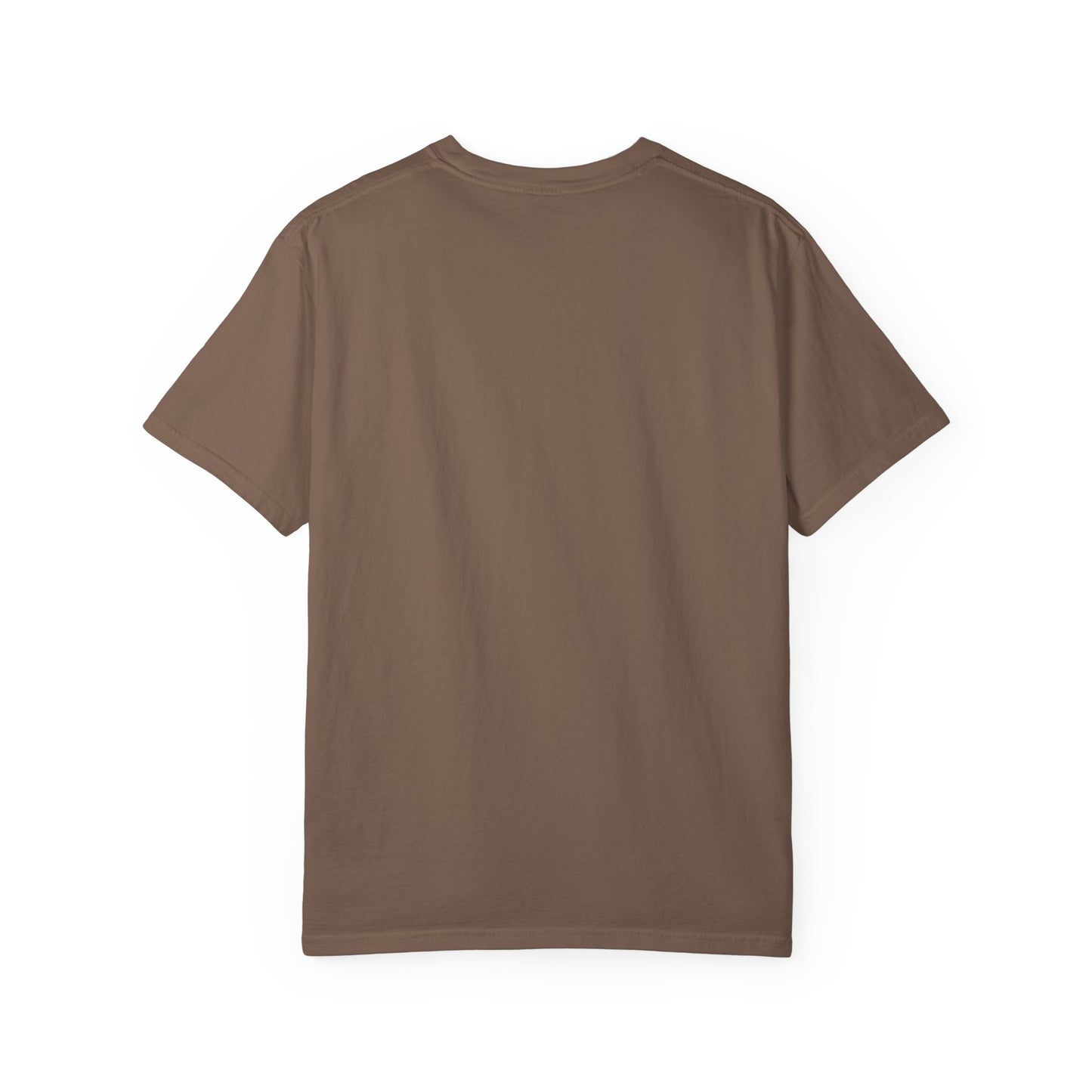 Filipenses 4:13 Lion T-Shirt