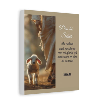 Salmo 3:3 Pero Tu Señor, me rodeas. Canvas Art