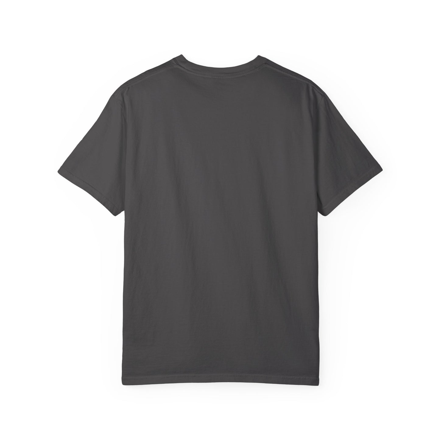 Filipenses 4:13 Lion T-Shirt