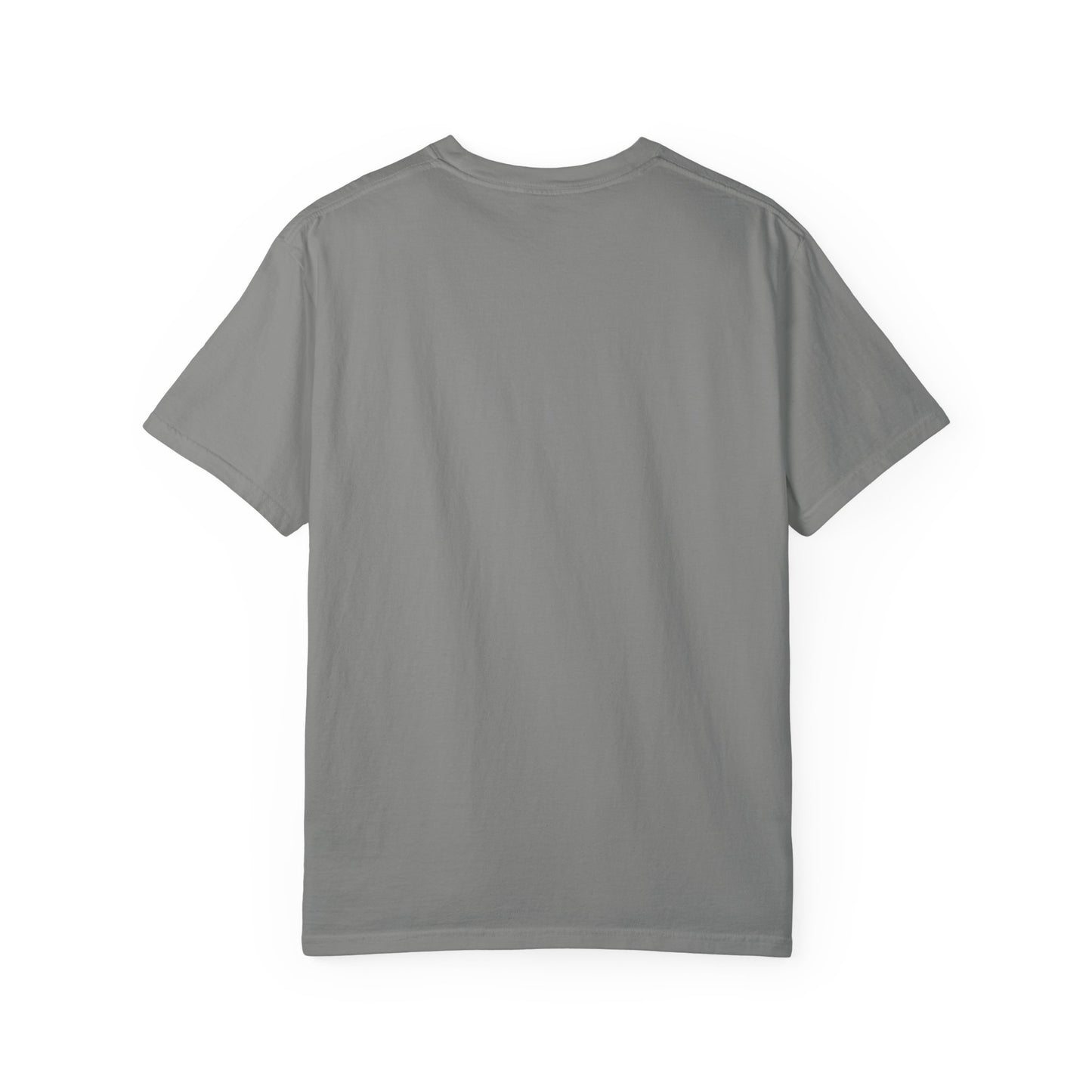 Filipenses 4:13 Lion T-Shirt