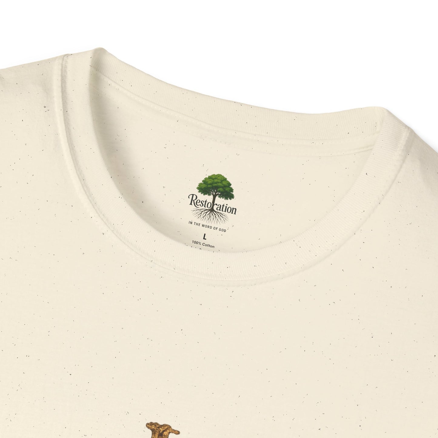 Romanos 5:8 Jesus Salvo Mi Vida T-Shirt