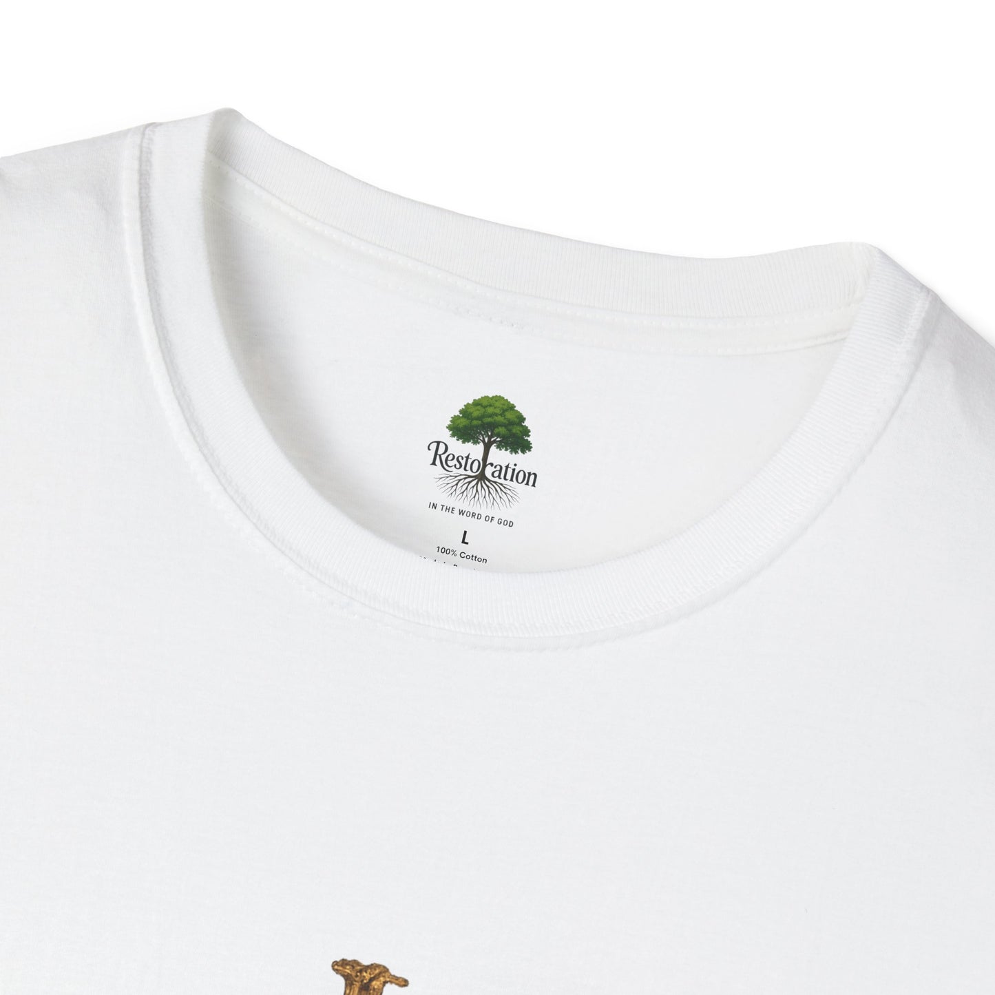 Romanos 5:8 Jesus Salvo Mi Vida T-Shirt