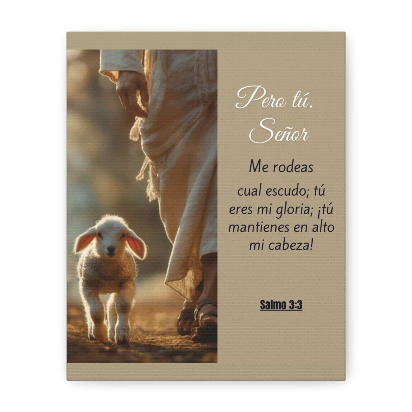 Salmo 3:3 Pero Tu Señor, me rodeas. Canvas Art