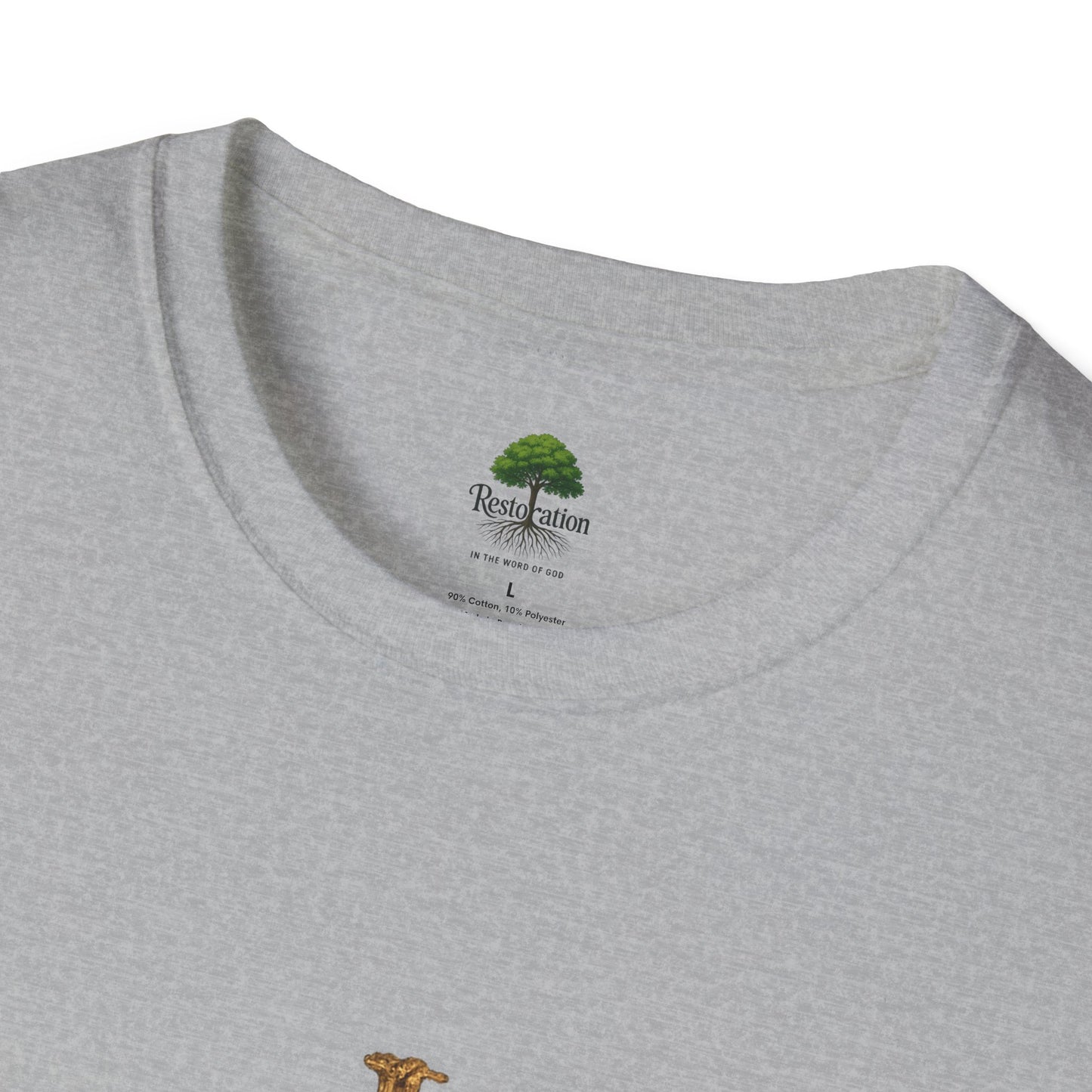 Romanos 5:8 Jesus Salvo Mi Vida T-Shirt