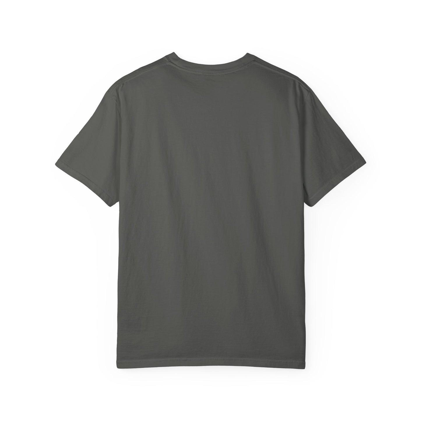 Filipenses 4:13 Lion T-Shirt