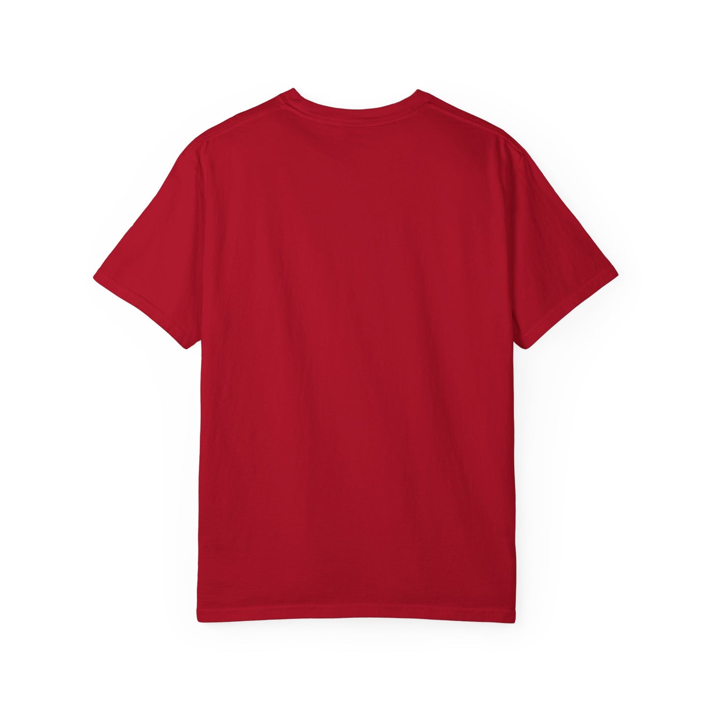 Filipenses 4:13 Lion T-Shirt