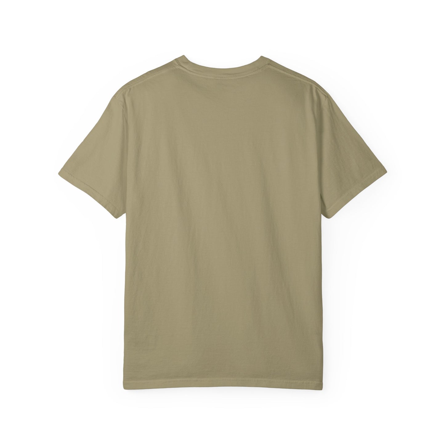 Filipenses 4:13 Lion T-Shirt