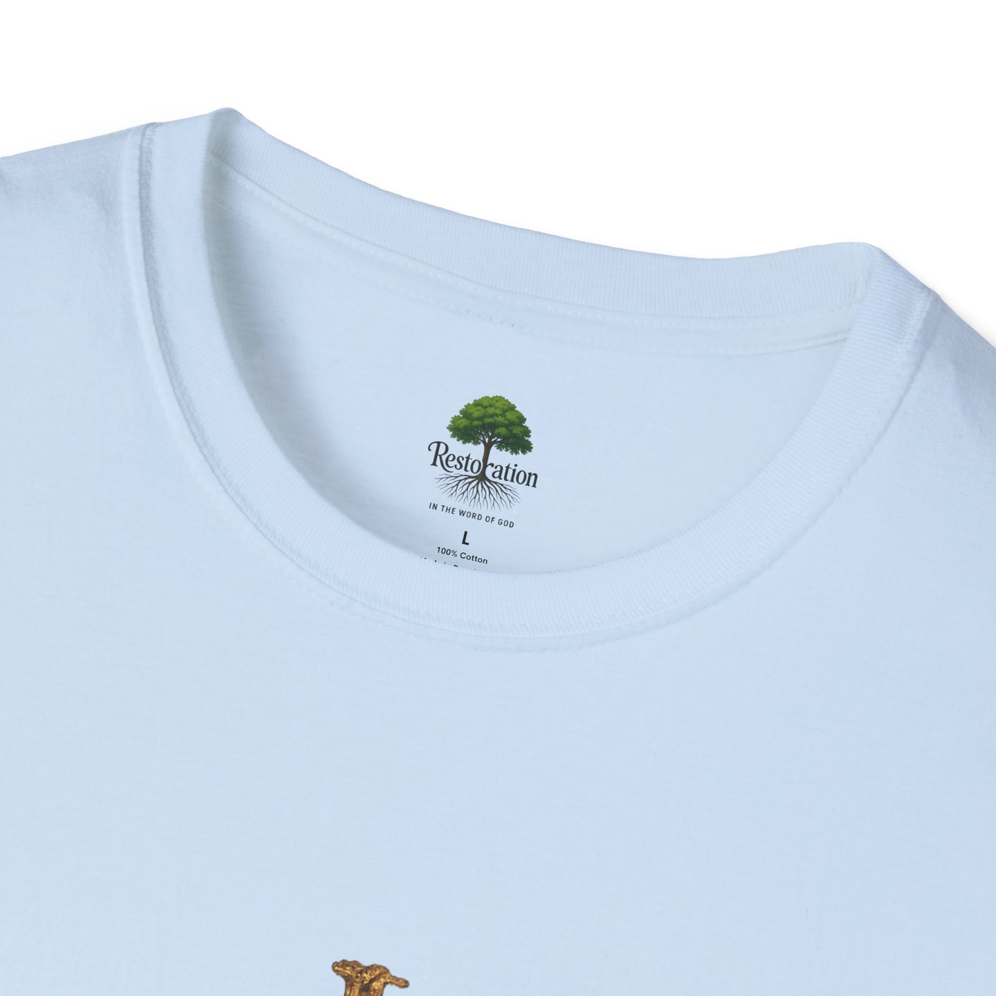 Romanos 5:8 Jesus Salvo Mi Vida T-Shirt