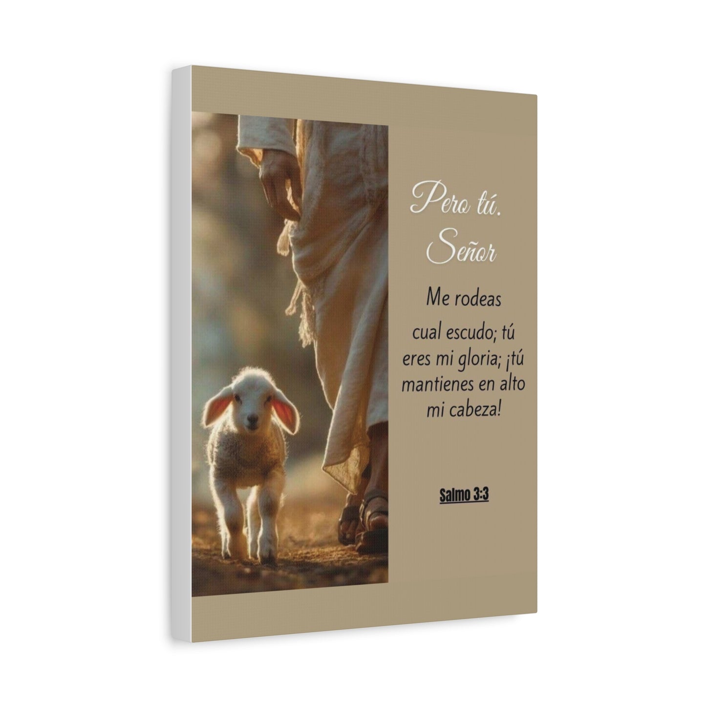 Salmo 3:3 Pero Tu Señor, me rodeas. Canvas Art