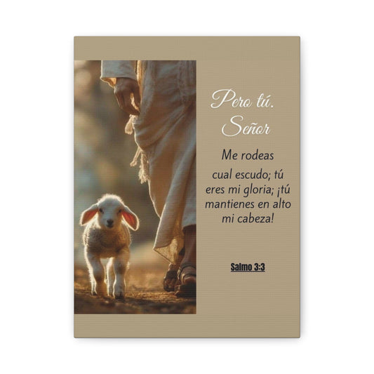 Salmo 3:3 Pero Tu Señor, me rodeas. Canvas Art