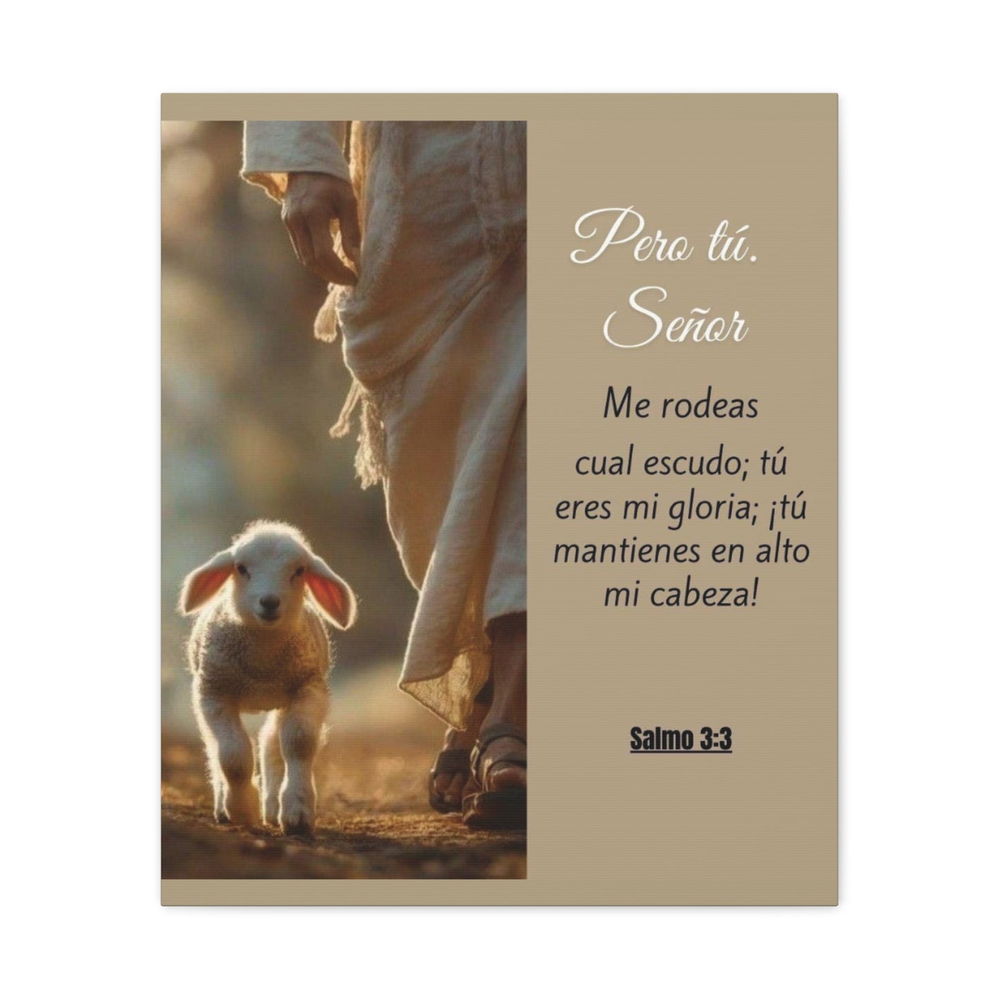 Salmo 3:3 Pero Tu Señor, me rodeas. Canvas Art