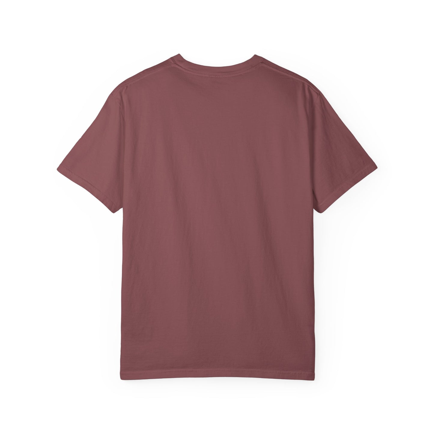 Filipenses 4:13 Lion T-Shirt