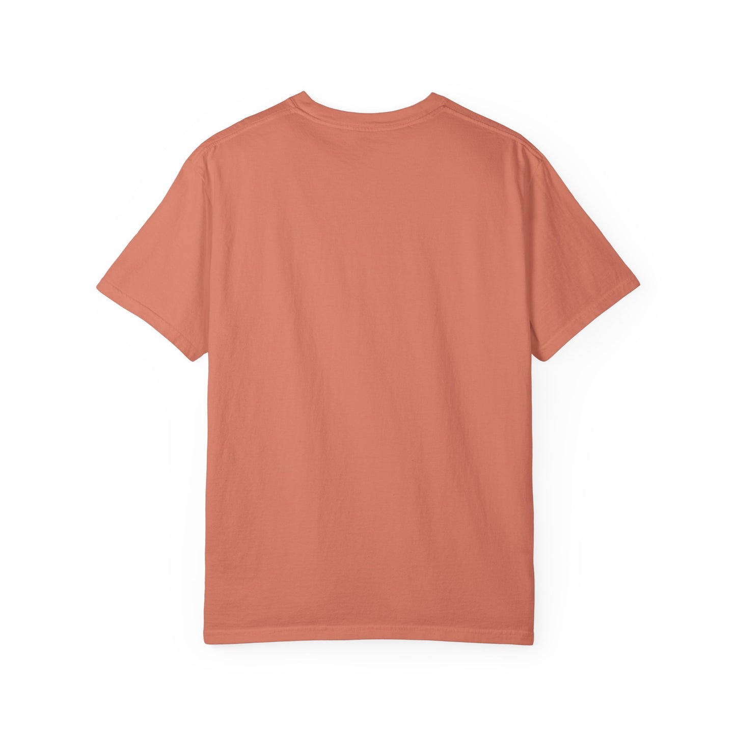 Filipenses 4:13 Lion T-Shirt