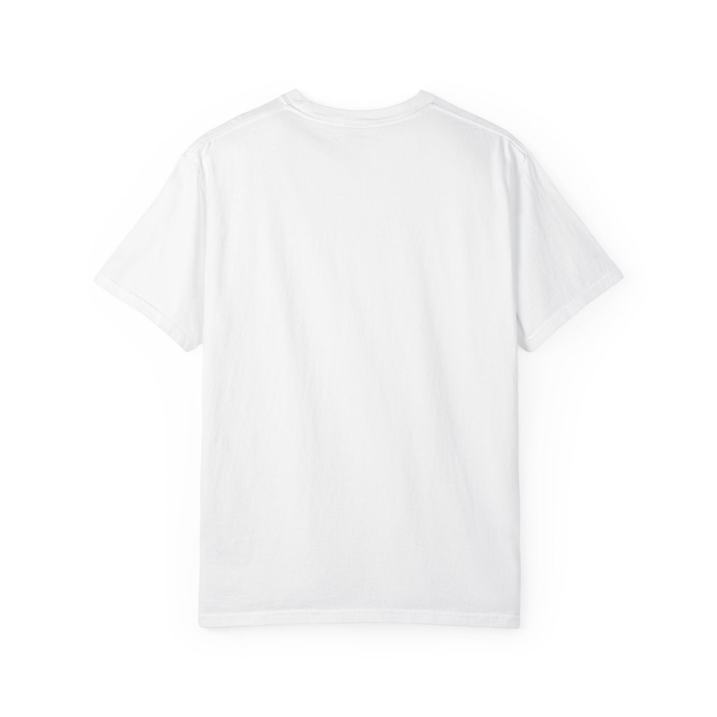 Filipenses 4:13 Lion T-Shirt
