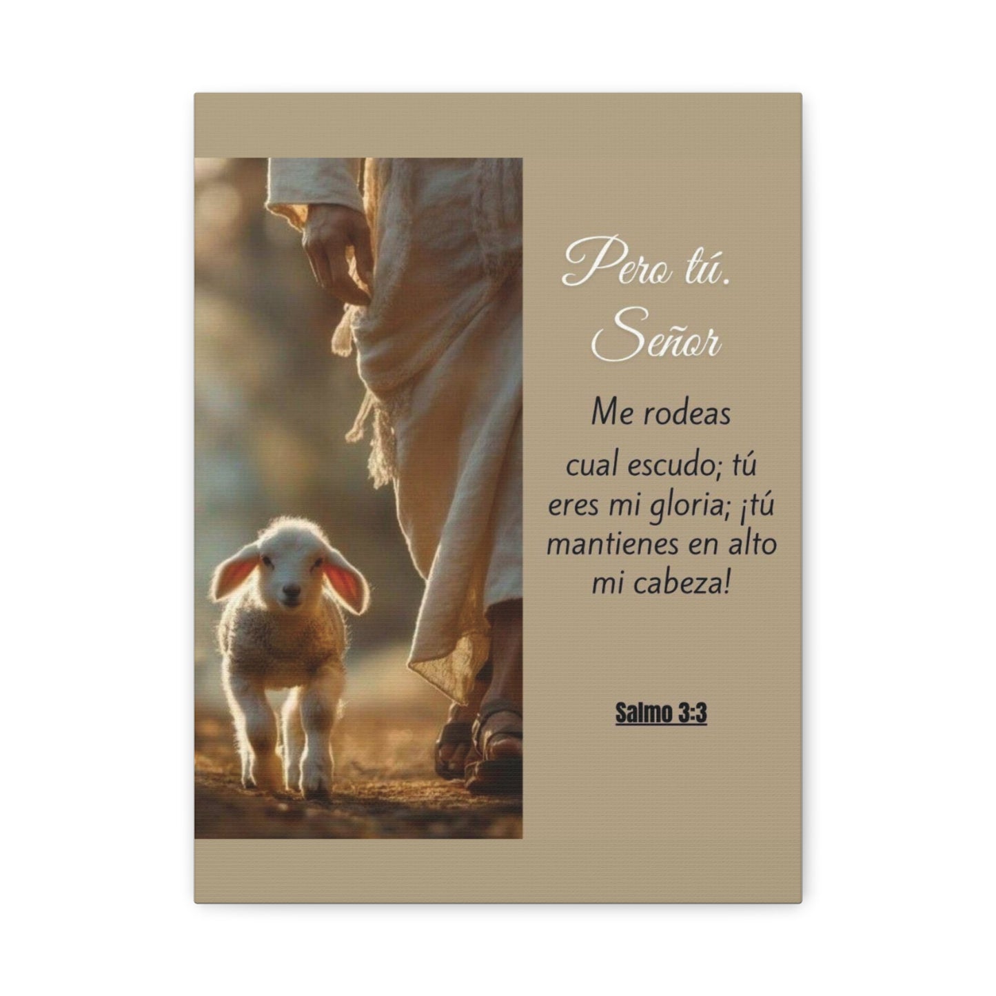 Salmo 3:3 Pero Tu Señor, me rodeas. Canvas Art