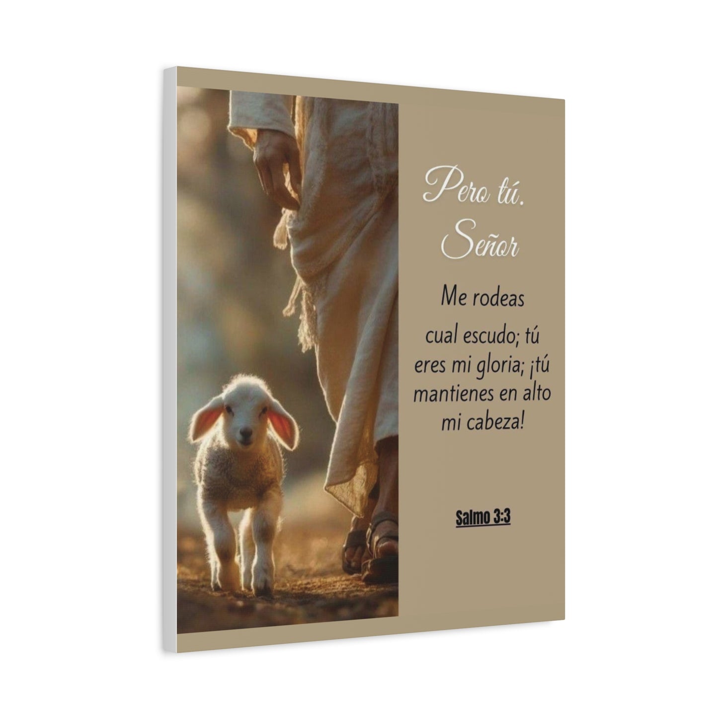Salmo 3:3 Pero Tu Señor, me rodeas. Canvas Art