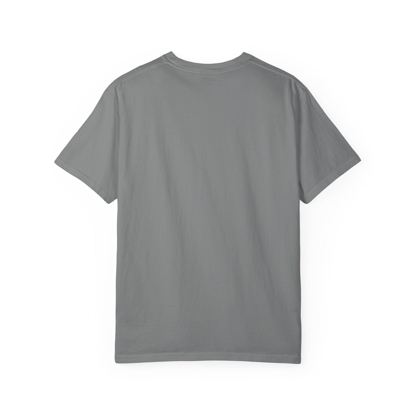 Filipenses 4:13 Lion T-Shirt